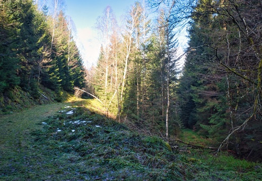 20220205202144-b8442a95